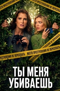 Постер Ты меня убиваешь / Элли и Энди