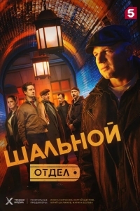Постер Шальной отдел