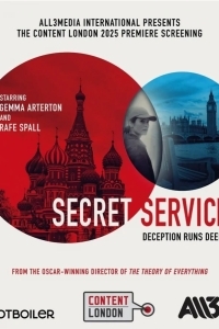 Постер Секретная служба