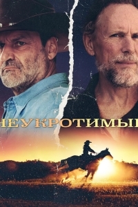 Постер Неукротимые