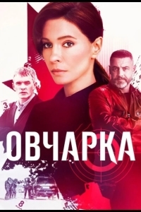 Постер Овчарка