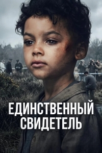 Постер Единственный свидетель
