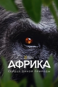 Постер Африка: Дикий дом Земли