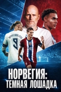 Постер Норвегия: Темная лошадка