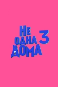 Постер Не одна дома 3. Выпускной