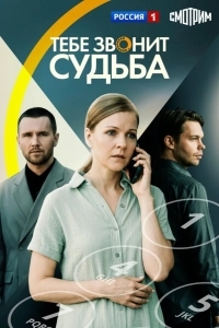 Постер Тебе звонит судьба