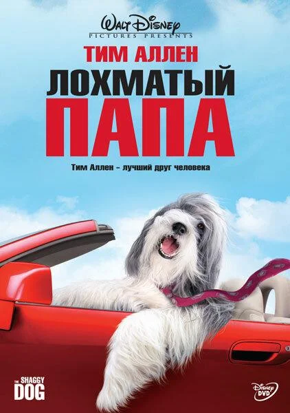 Постер Лохматый папа
