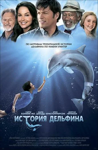Постер История дельфина