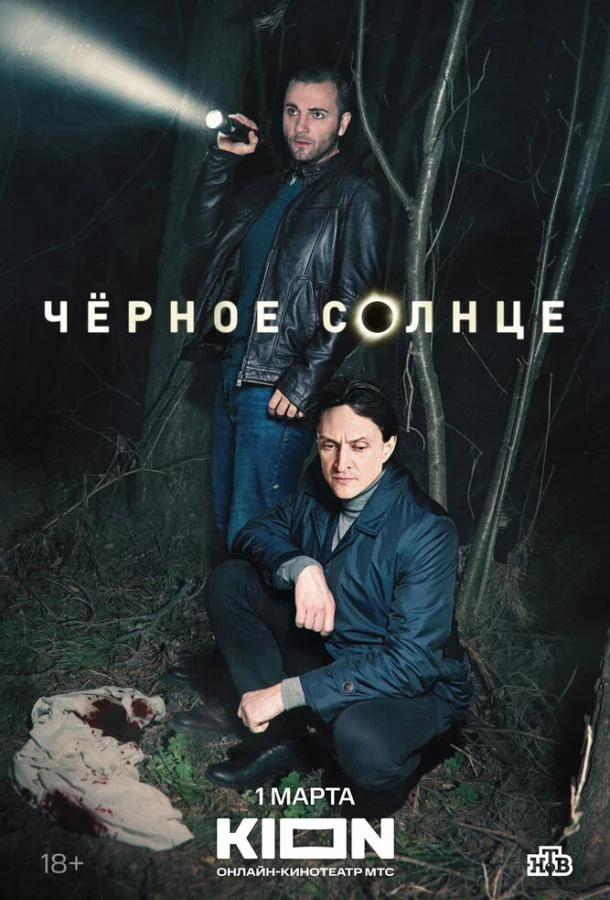 Постер Чёрное солнце