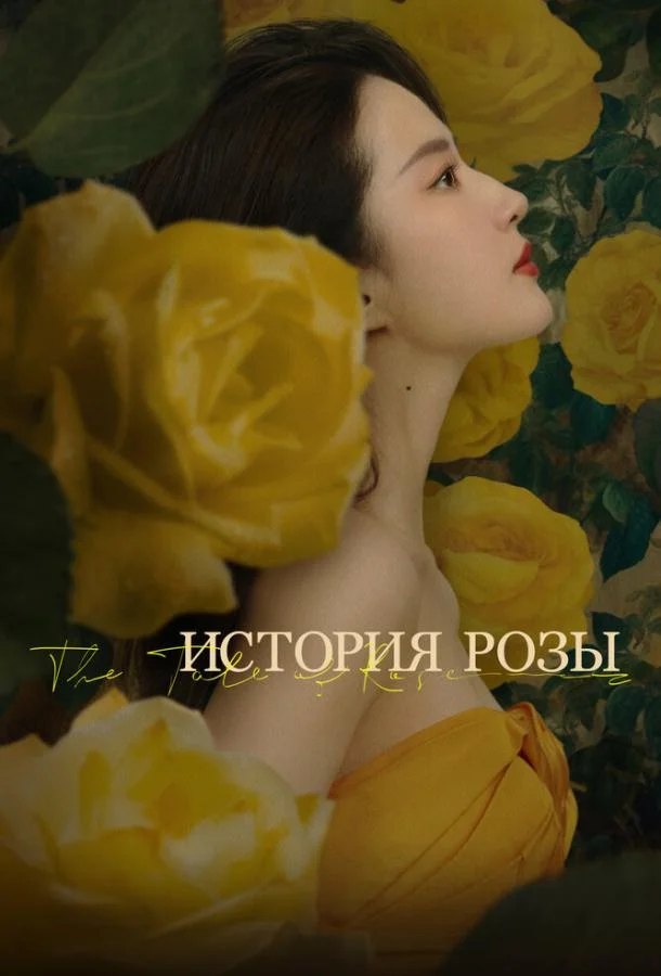 Постер История розы