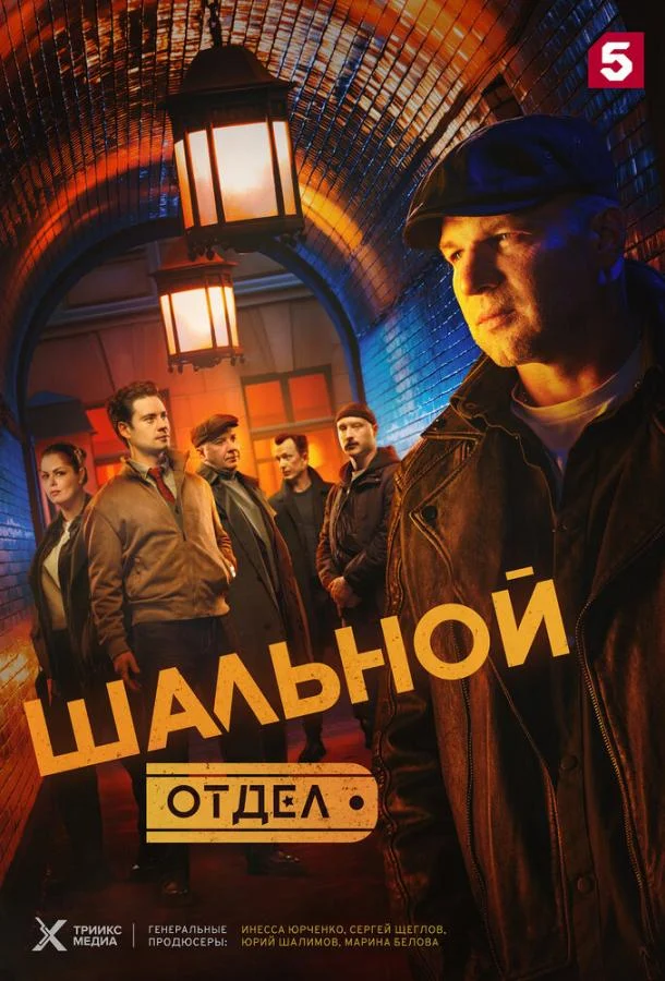 Постер Шальной отдел