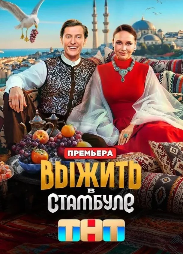 Постер Выжить в Стамбуле