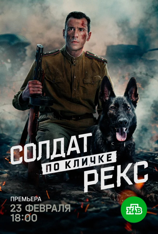 Постер Солдат по кличке Рекс