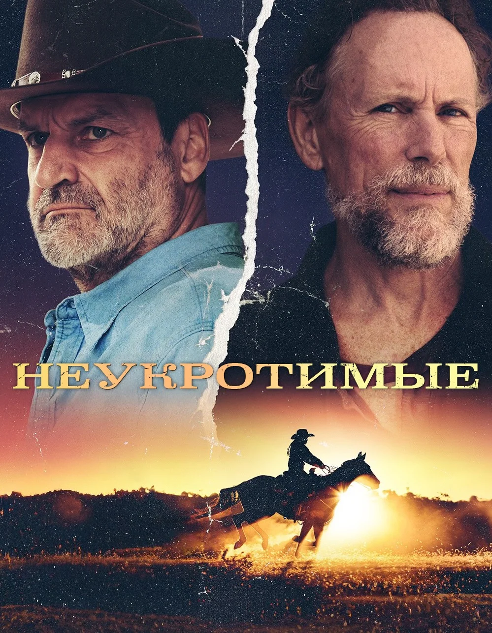 Постер Неукротимые