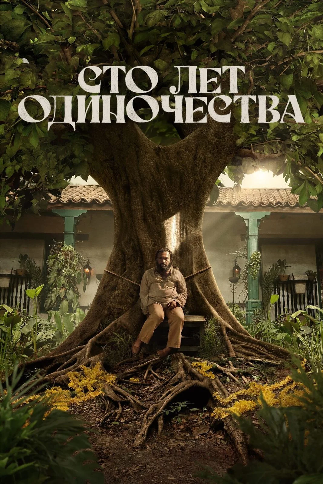 Постер Сто лет одиночества