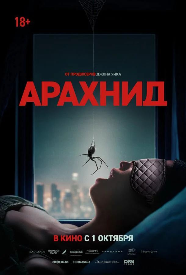 Постер Арахнид