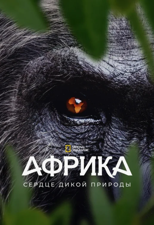 Постер Африка: Дикий дом Земли