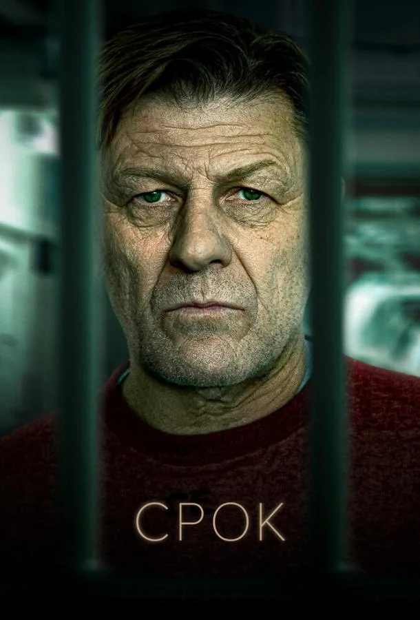 Постер Срок