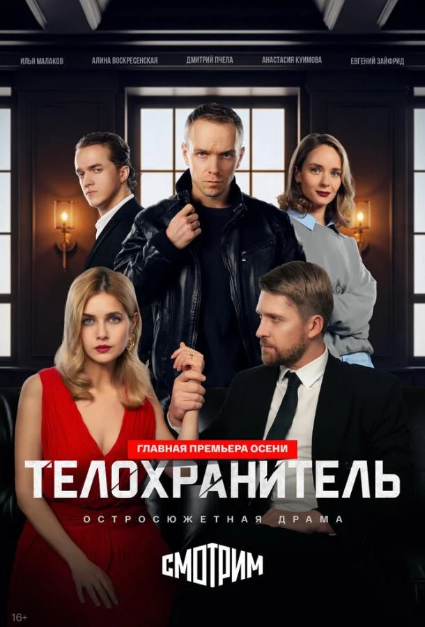Постер Телохранитель